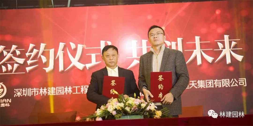 18.webp.jpg 18.webp.jpg