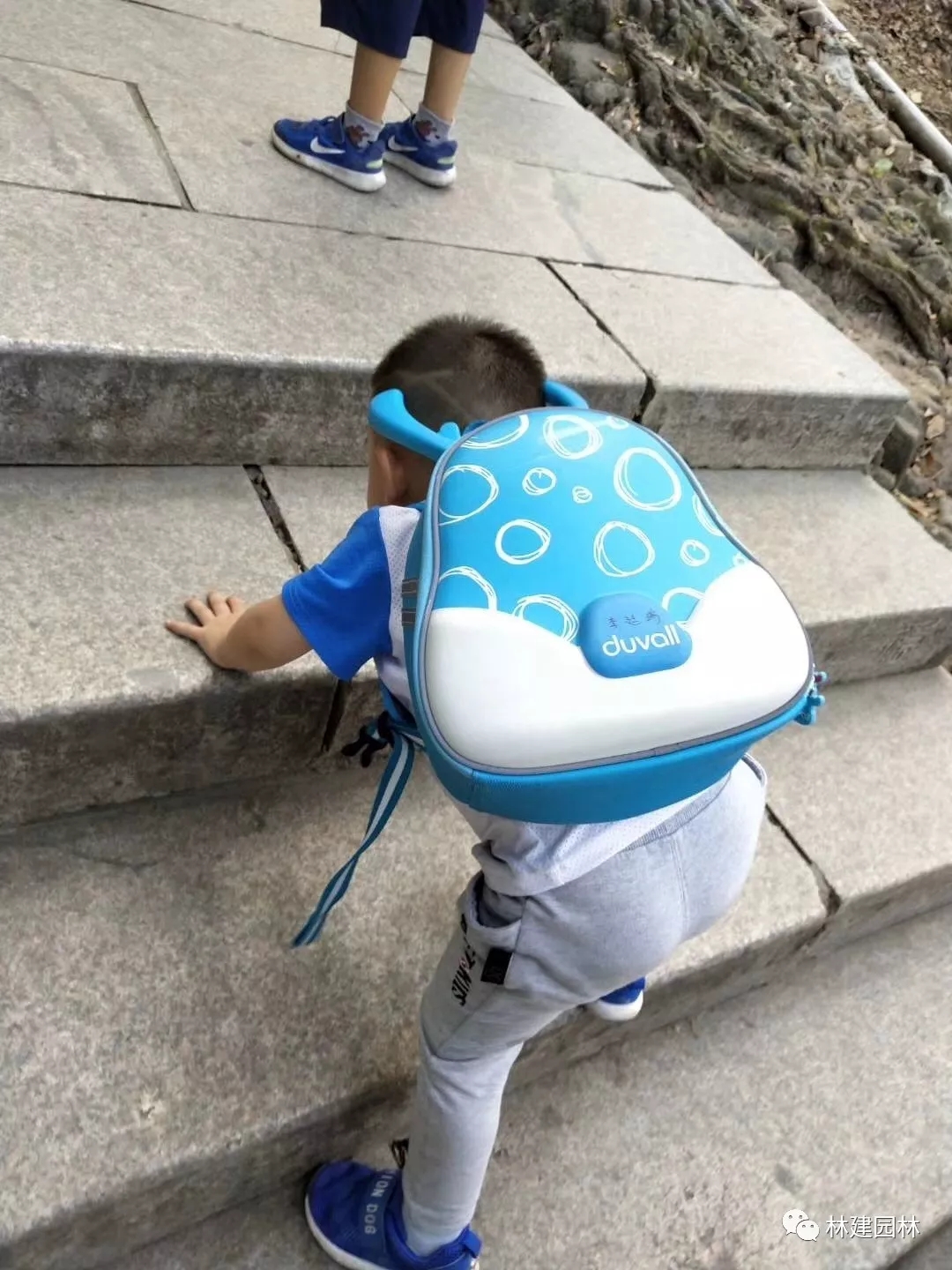 640.webp (18).jpg 640.webp (18).jpg